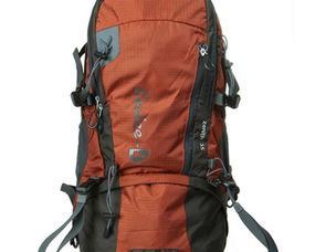 雙肩登山包35l休閑旅行包帶防雨罩9453761008桔色